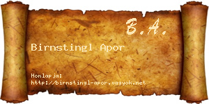 Birnstingl Apor névjegykártya